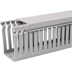 Elektroinstalační lišta OBO Bettermann, 6178014, 60 x 40 mm, 2 m, šedá