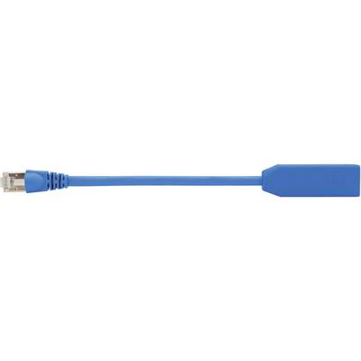 Modrý ethernetový kabel s konektorem RJ45 vlevo a obdélníkovým krytem vpravo.