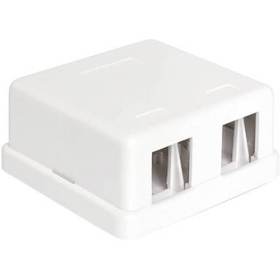 Obdélníkový bílý síťový rozvaděč se dvěma porty pro ethernetové připojení, vhodný pro montáž na stěnu.