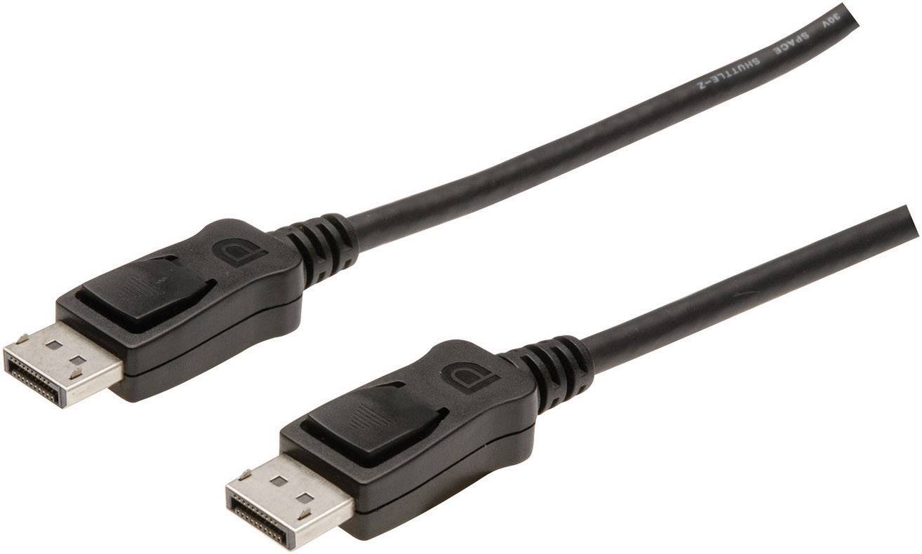 Dva černé DisplayPort kabely s obdélníkovými konektory vedle sebe na bílém pozadí.