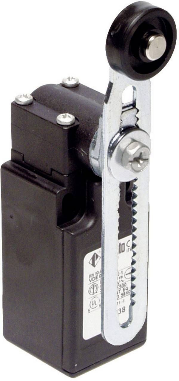 Pizzato Elettrica FR 556-M2 FR 556-M2 koncový spínač 250 V/AC 6 A ovládací páka s kladkou bez aretace IP67 1 ks