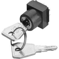 Klíčový spínač RAFI, 3,13009,903/0000, 42 V, 100 mA, IP54