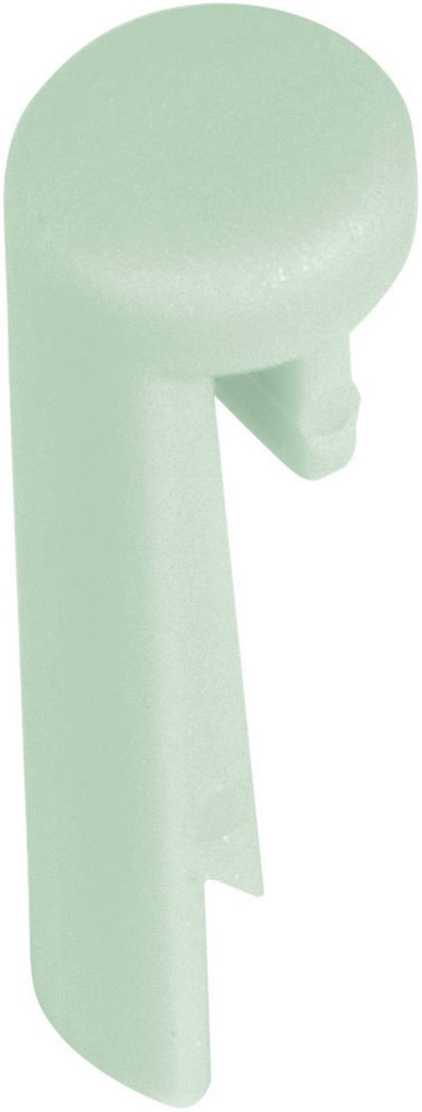 OKW A1101005 směrová šipka   zelená Vhodné pro (série tlačítek, koleček) kulatá tlačítka TOB-KNOBS  1 ks