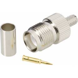 TNC Reverse zástrčka zásuvka, rovná BKL Electronic 0419403 0419403, 50 Ω, 1 ks