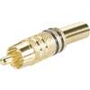 Cinch konektor zástrčka, rovná BKL Electronic 0101006, pinov 2, čierna, 1 ks