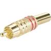 Cinch konektor zástrčka, rovná BKL Electronic 0101007, pinov 2, červená, 1 ks