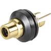 Cinch konektor zásuvka, vstavateľná vertikálna BKL Electronic 0101147/T, pinov 2, čierna, 1 ks