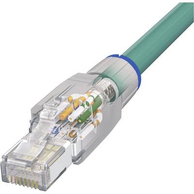 Zelený ethernetový kabel s průhledným RJ-45 konektorem, v němž jsou viditelné vícebarevné vodiče, na bílém pozadí.