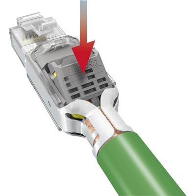 Detailní záběr ethernetové zástrčky s odkrytým kabelem. Červený šipka ukazuje na kontakt, aby demonstrovala postup připojení.