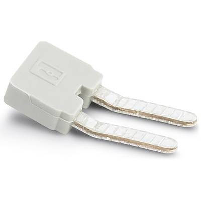 Bílý keramický teplotní senzor se dvěma kovovými svorkami, používaný ke sledování teplotních změn v elektrických zařízeních.