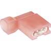 Faston zásuvka TE Connectivity 2-520337-2 4.8 mm x 0.8 mm, 180 °, plná izolace, červená, 1 ks