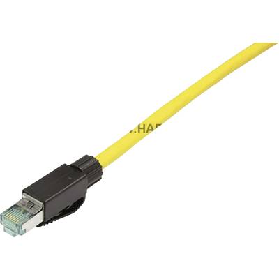 Žluté ethernetové síťové kabely s černou koncovkou na bílém pozadí, které symbolizují síťové připojení nebo přístup k internetu.