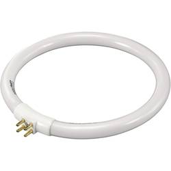 Kruhová trubica s luminoforem T4, 12 W