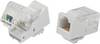 TRU COMPONENTS 93014c937 Modulární zásuvky, bez nářadí zásuvka, rovná přírodní 1 ks
