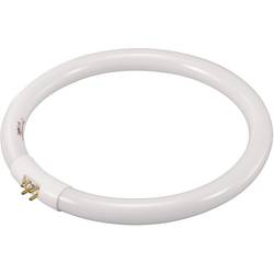 Kruhová trubice T5, 22 W