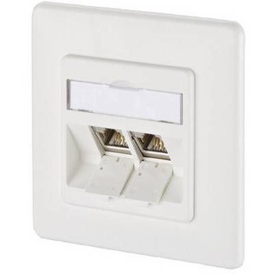 Dvojitá síťová zásuvka na zeď v bílé barvě se dvěma RJ45 porty, vhodná pro síťové připojení v kancelářích nebo bytech.
