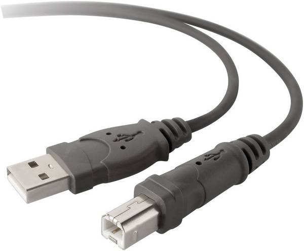 Belkin USB kabel USB 2.0 USB-A zástrčka, USB-B zástrčka 3.00 m šedá F3U133b10