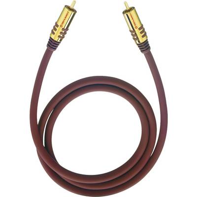 Zlatem potažený audioकabel se dvěma RCA konektory. Červený kabel vhodný pro připojení audio zařízení.