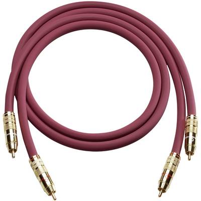 Pár červených cinch kabelů se zlatými konektory, používaných pro audio připojení.