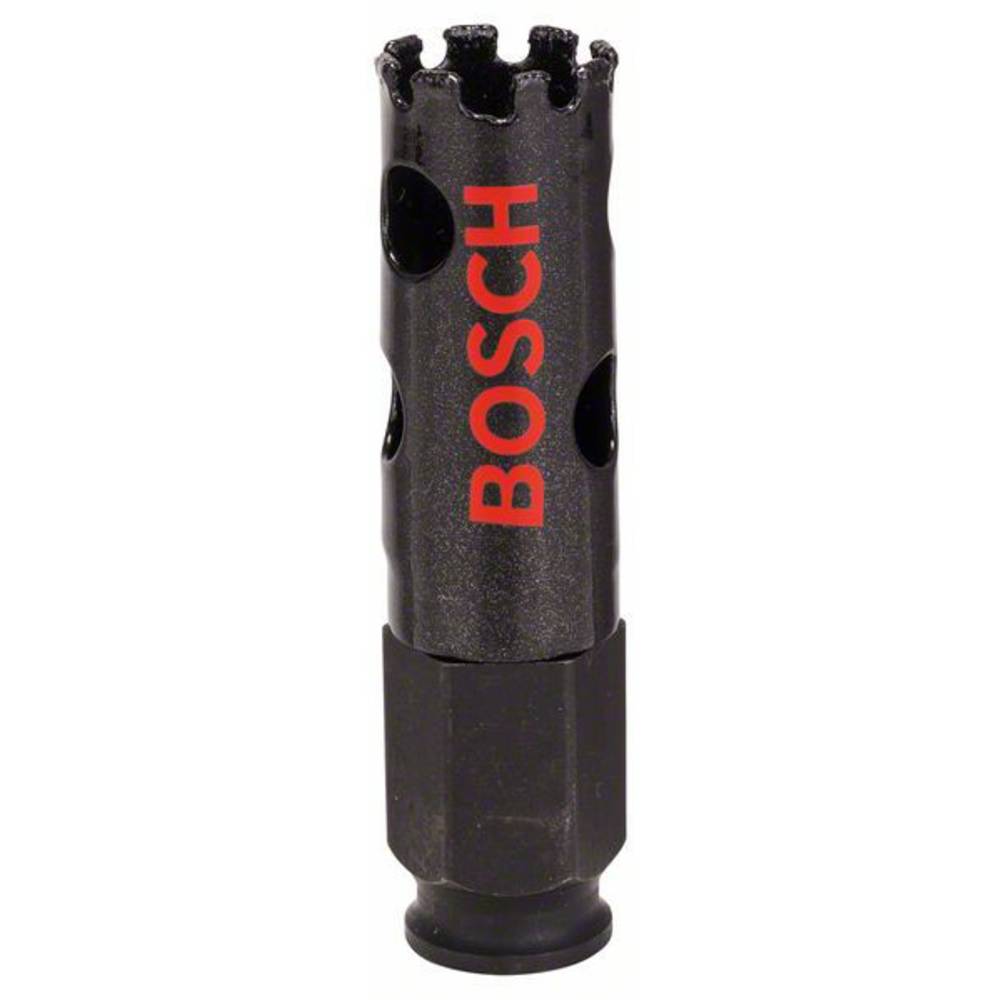 Bosch Accessories Bosch 2608580301 vrtací korunka 19 mm diamantová vrstva 1 ks