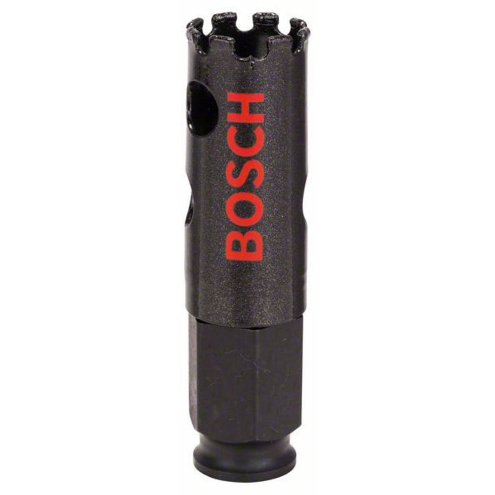Bosch Accessories Bosch 2608580302 vrtací korunka 20 mm diamantová vrstva 1 ks
