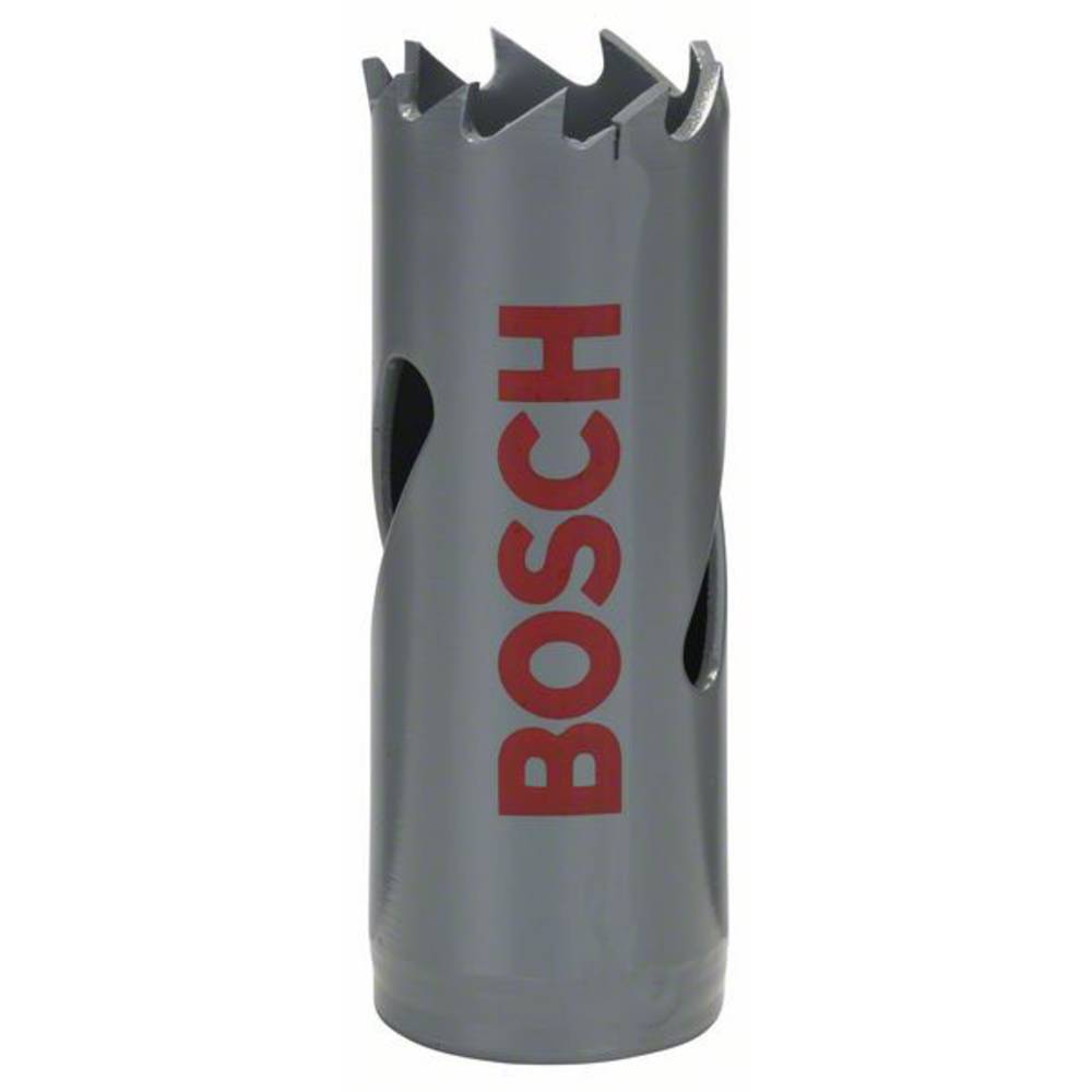 Bosch Accessories Bosch 2608584102 vrtací korunka 20 mm 1 ks