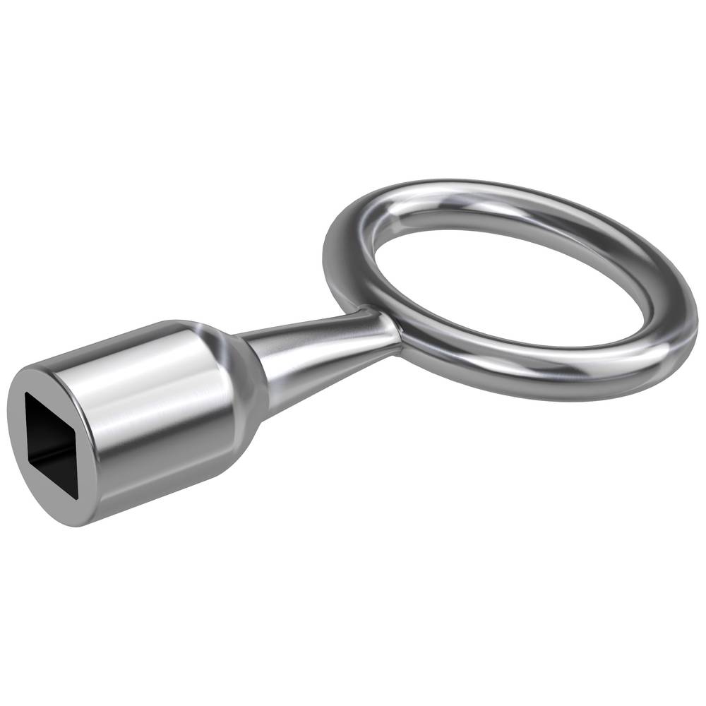 Basi 301V-6 trnový klíč stříbrná