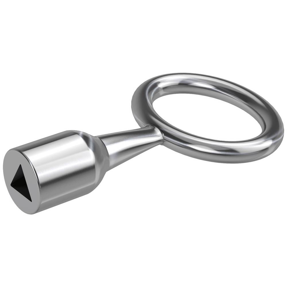 Basi 301D-10 trnový klíč stříbrná
