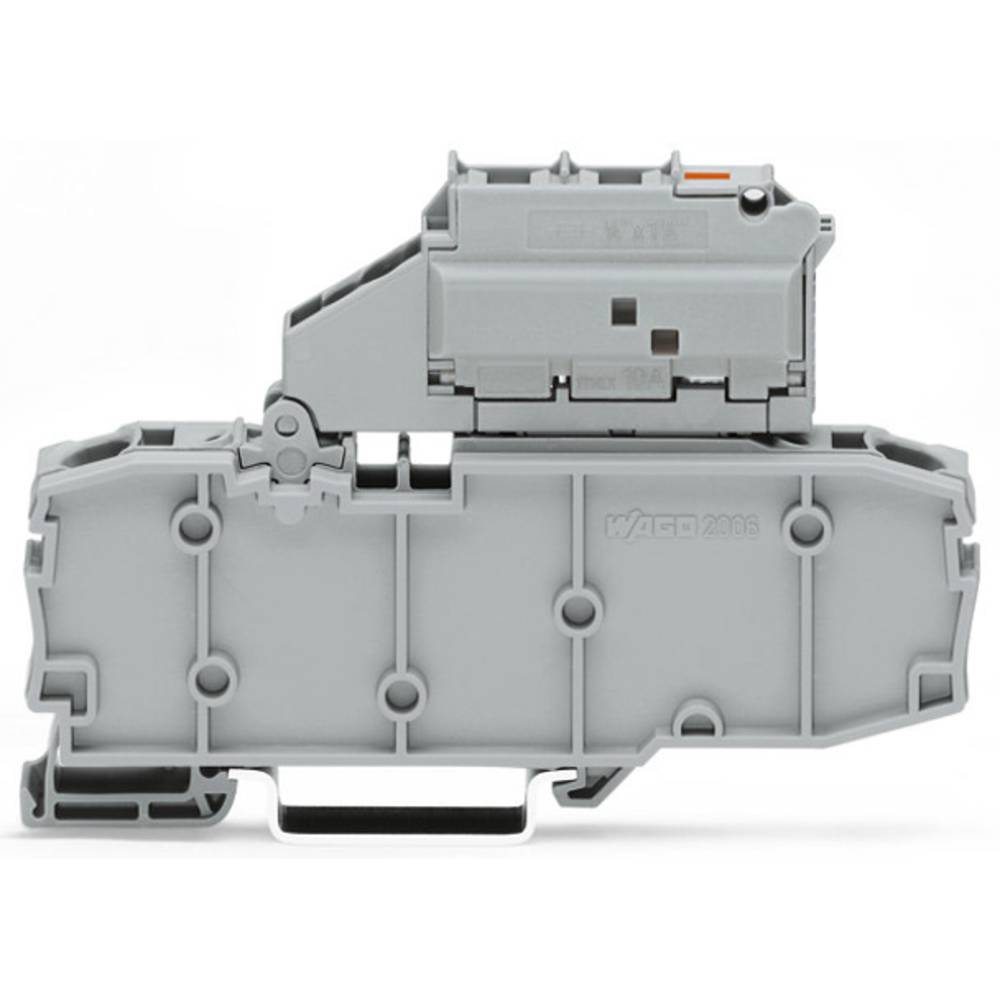 WAGO 2006-1631/1099-859 jistící svorka 10.40 mm pružinové připojení šedá 25 ks