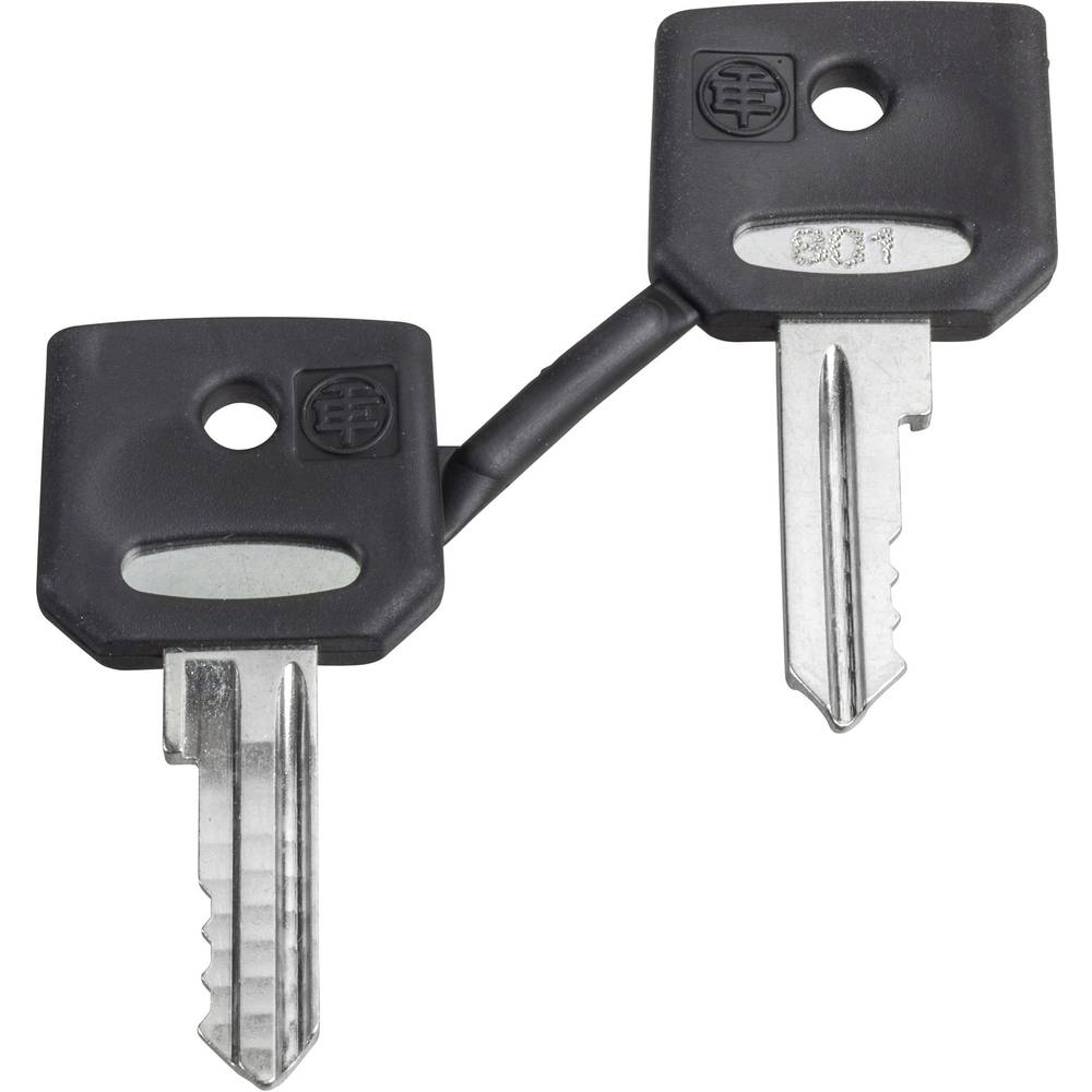 Schneider Electric ZBD8D1 náhradní klíč 1 ks