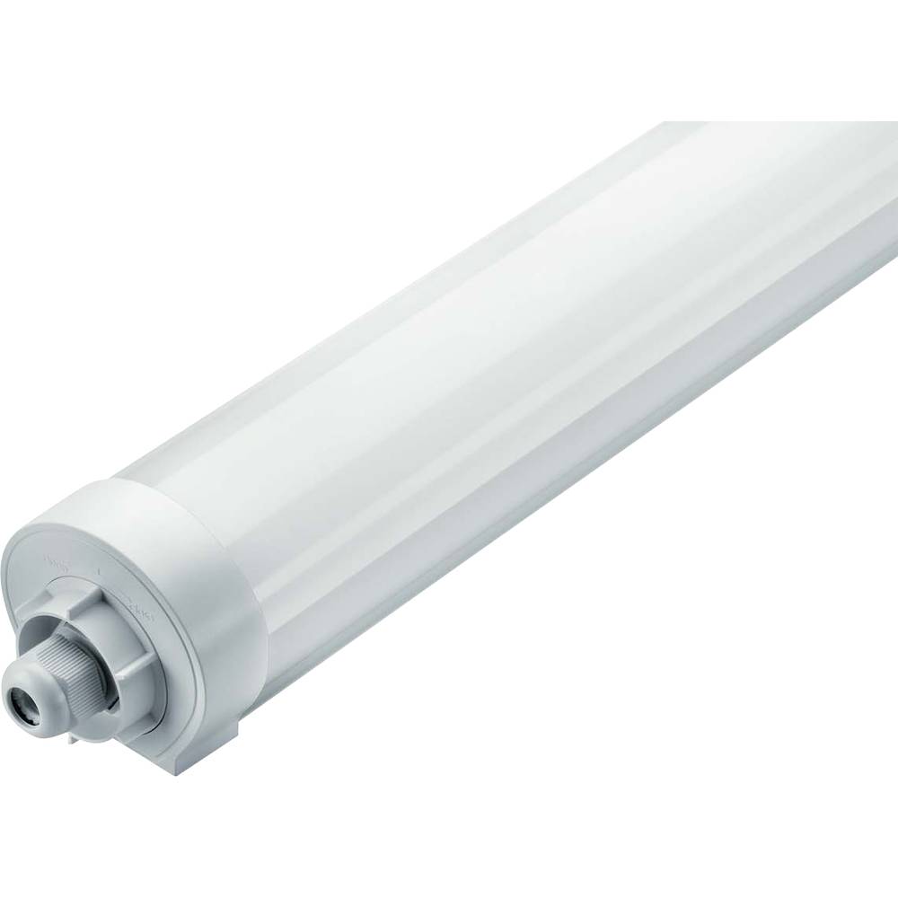 Thorn ECO LUCY LED světlo do vlhkých prostor LED pevně vestavěné LED 40 W přírodní bílá bílá