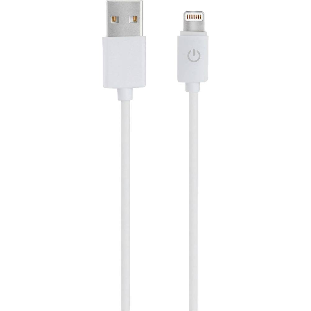 RealPower USB kabel USB 2.0 USB-A zástrčka, Apple Lightning konektor 1.00 m bílá 255649