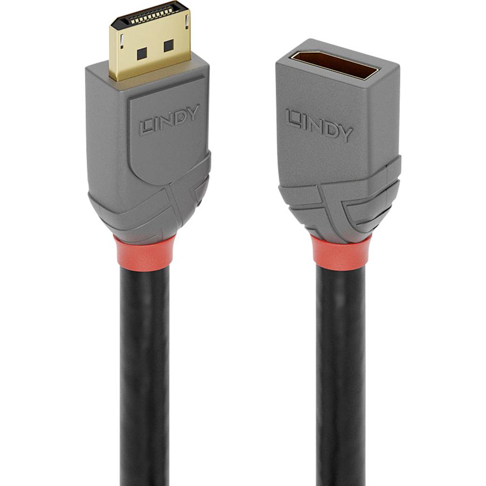 LINDY DisplayPort prodlužovací kabel Konektor DisplayPort, DisplayPort zásuvka 0.50 m antracitová, černá, červená 36495