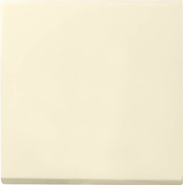 Gira Systeem 55 Besturingselement/Centrale plaat Schakelmateriaal - 029601 - E2FU7