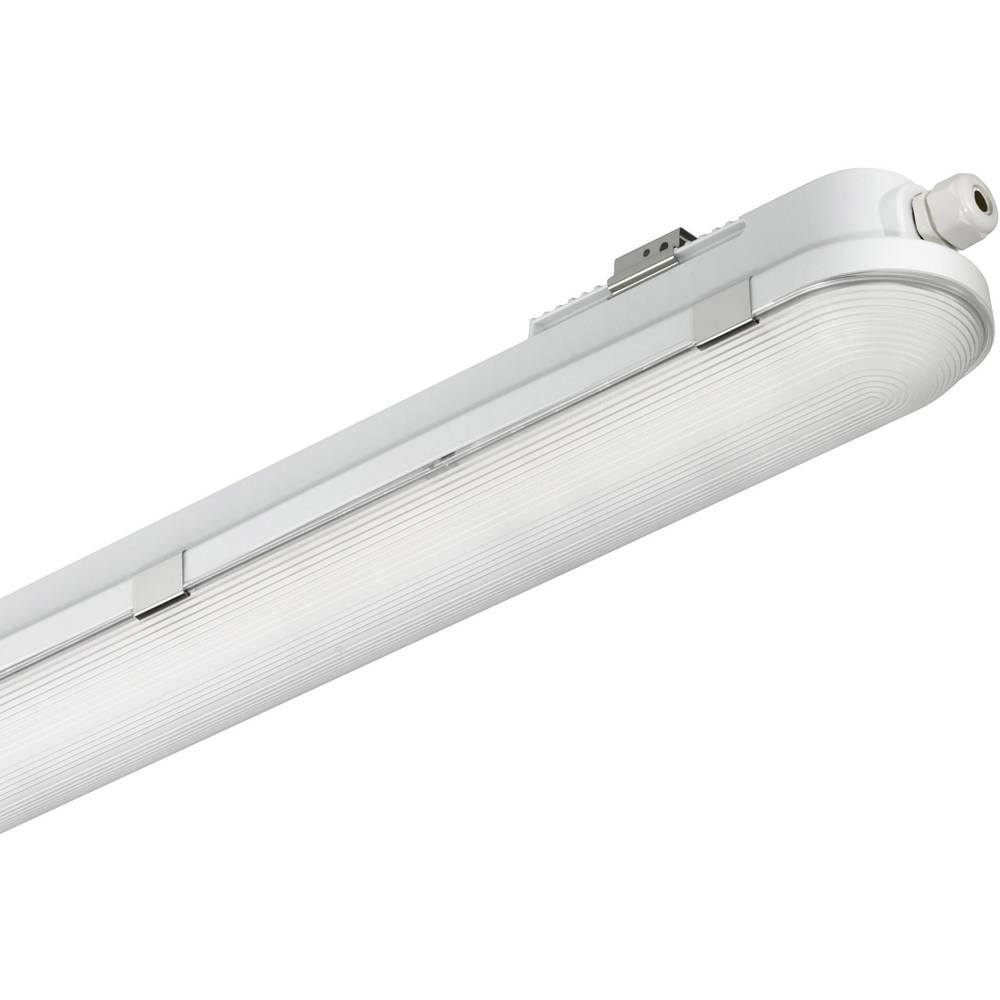 Philips Lighting CoreLine WT120C LED světlo do vlhkých prostor LED pevně vestavěné LED 41 W neutrální bílá šedá