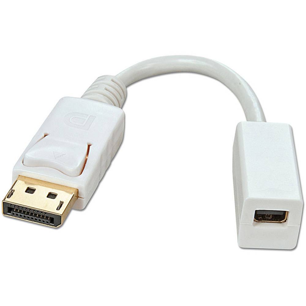 LINDY 41060 DisplayPort / Mini-DisplayPort kabelový adaptér [1x zástrčka DisplayPort - 1x mini DisplaPort zásuvka] bílá