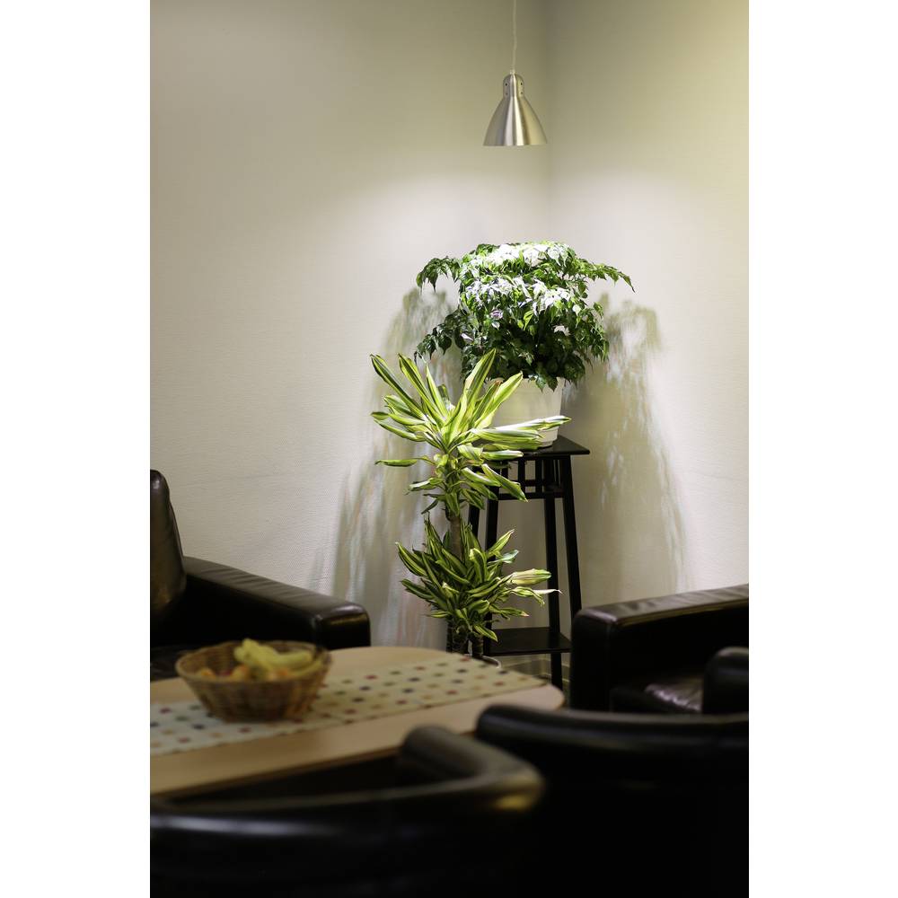 Venso lampa na rostliny 89.5 mm 230 V E27 6 W neutrální bílá žárovka 1 ks