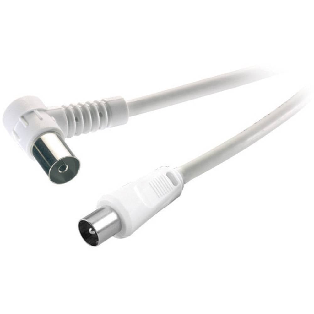 SpeaKa Professional antény kabel [1x anténní zástrčka 75 Ω - 1x anténní zásuvka 75 Ω] 10.00 m 75 dB 90° zatočeno doprava
