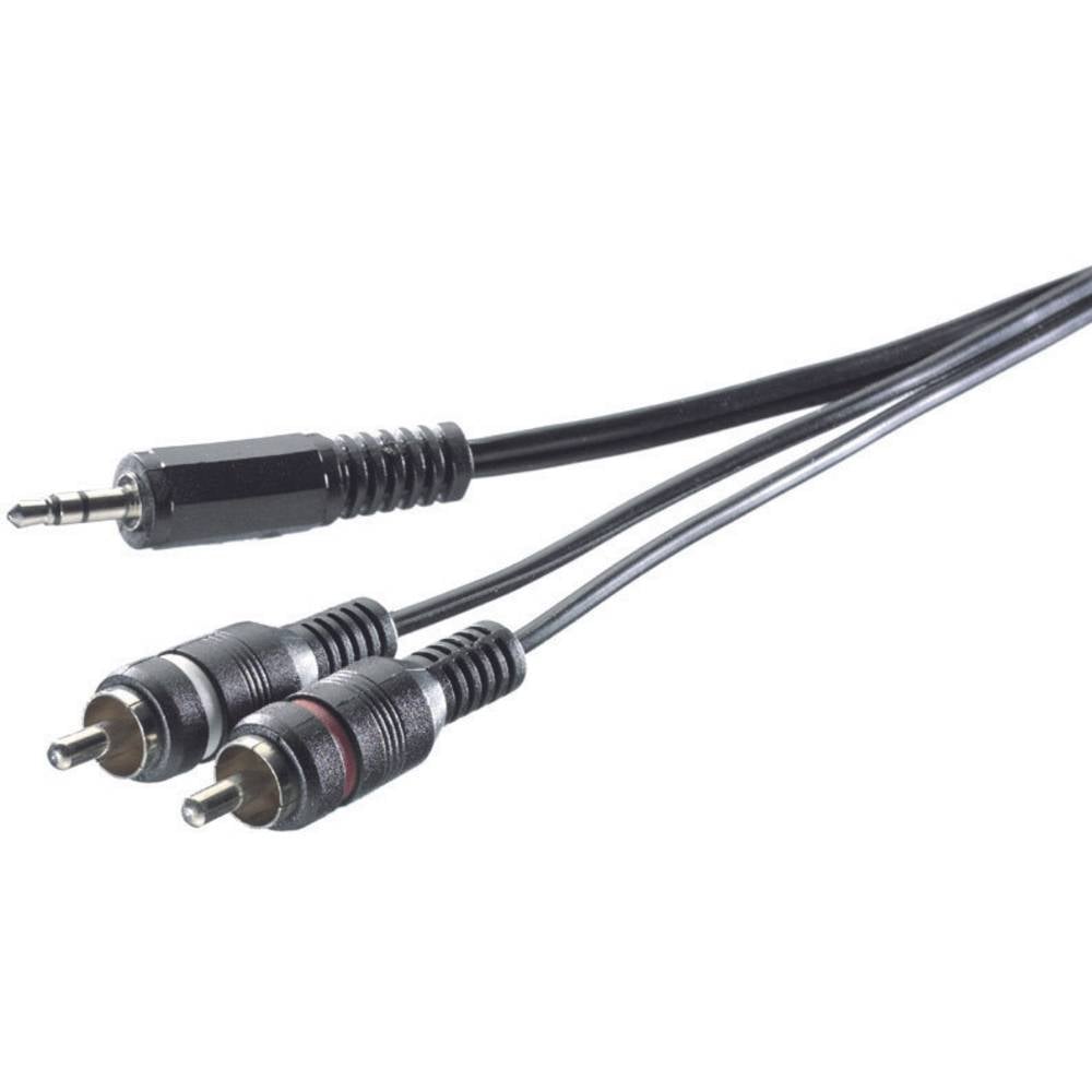 SpeaKa Professional SP-1300900 cinch / jack audio kabel [2x cinch zástrčka - 1x jack zástrčka 3,5 mm] 3.00 m šedá