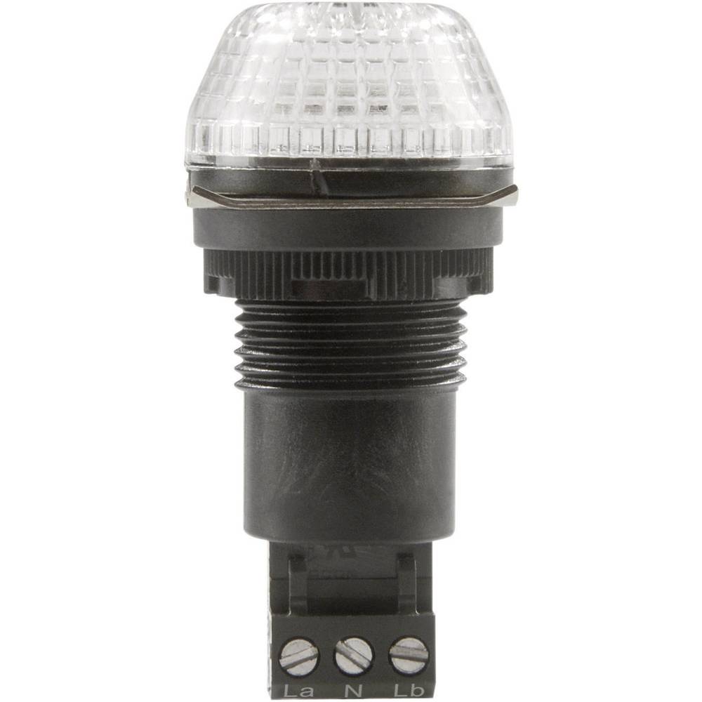 Auer Signalgeräte signální osvětlení LED IBS 800504313 čirá čirá trvalé světlo, blikající světlo 230 V/AC