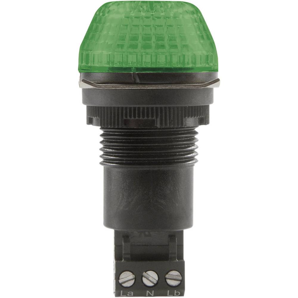 Auer Signalgeräte signální osvětlení LED IBS 800506313 zelená zelená trvalé světlo, blikající světlo 230 V/AC