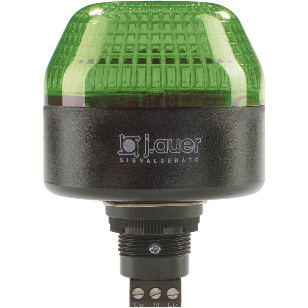 Auer Signalgeräte signální osvětlení LED IBL 802506405 zelená trvalé světlo, blikající světlo 24 V/DC, 24 V/AC