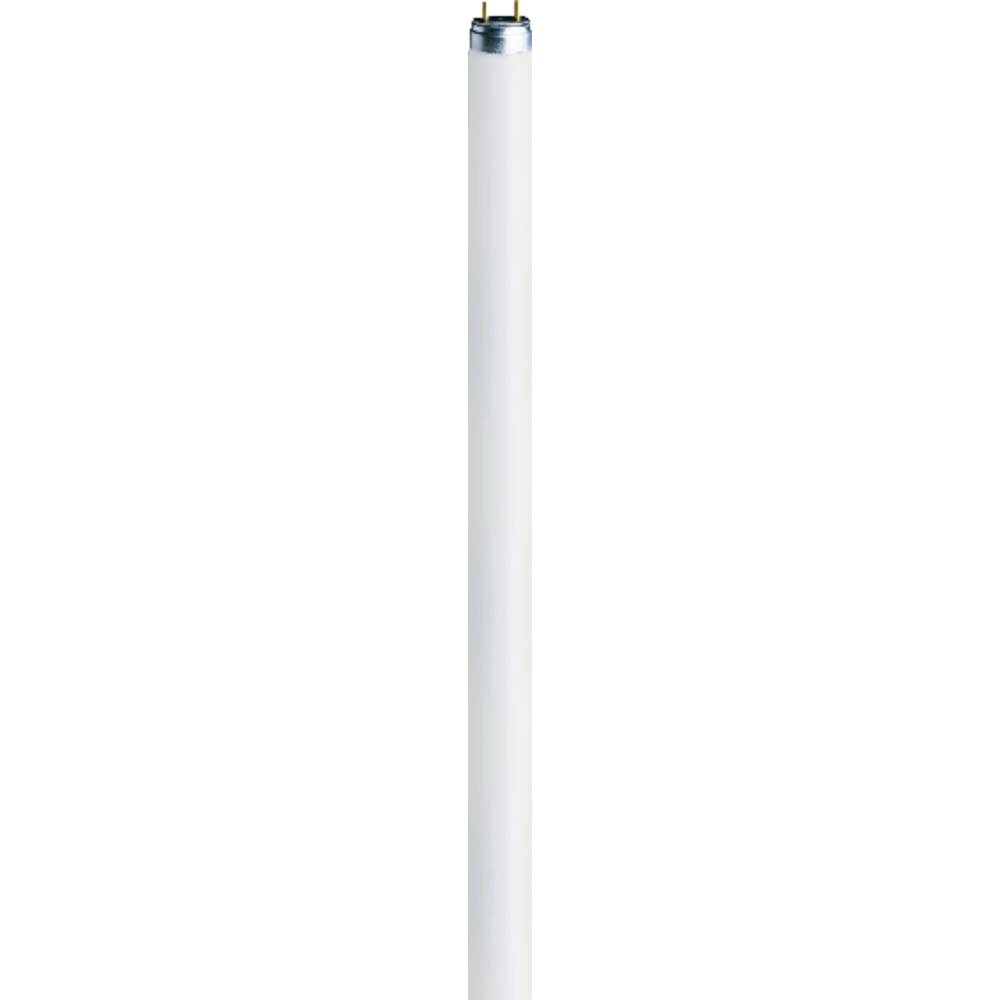 OSRAM zářivková trubice Energetická třída (EEK2021): G (A - G) G5 8 W studená bílá 840 zářivkový tvar (Ø x d) 16 mm x 28