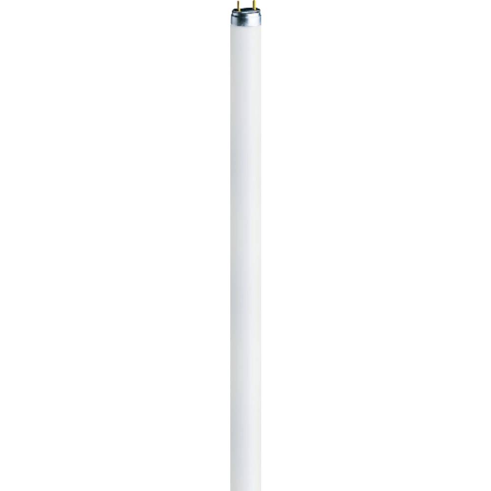 OSRAM zářivková trubice Energetická třída (EEK2021): G (A - G) G5 13 W studená bílá 840 zářivkový tvar (Ø x d) 16 mm x 5