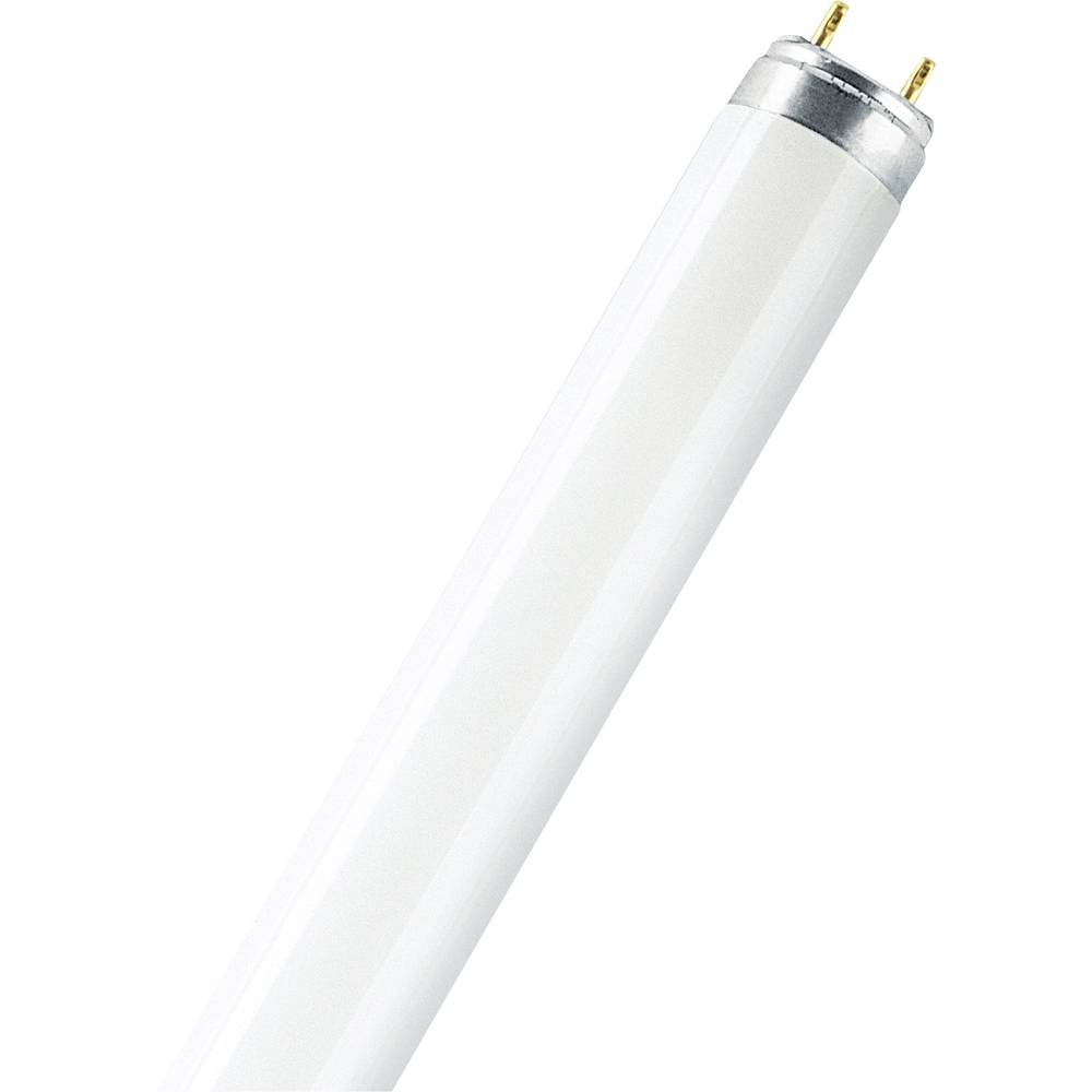 OSRAM zářivková trubice Energetická třída (EEK2021): G (A - G) G13 15 W teplá bílá zářivkový tvar (Ø x d) 26 mm x 451.6