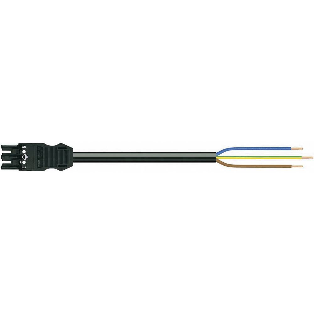 WAGO síťový připojovací kabel síťová zásuvka - kabel s otevřenými konci Počet kontaktů: 2 + PE černá 1.00 m 1 ks