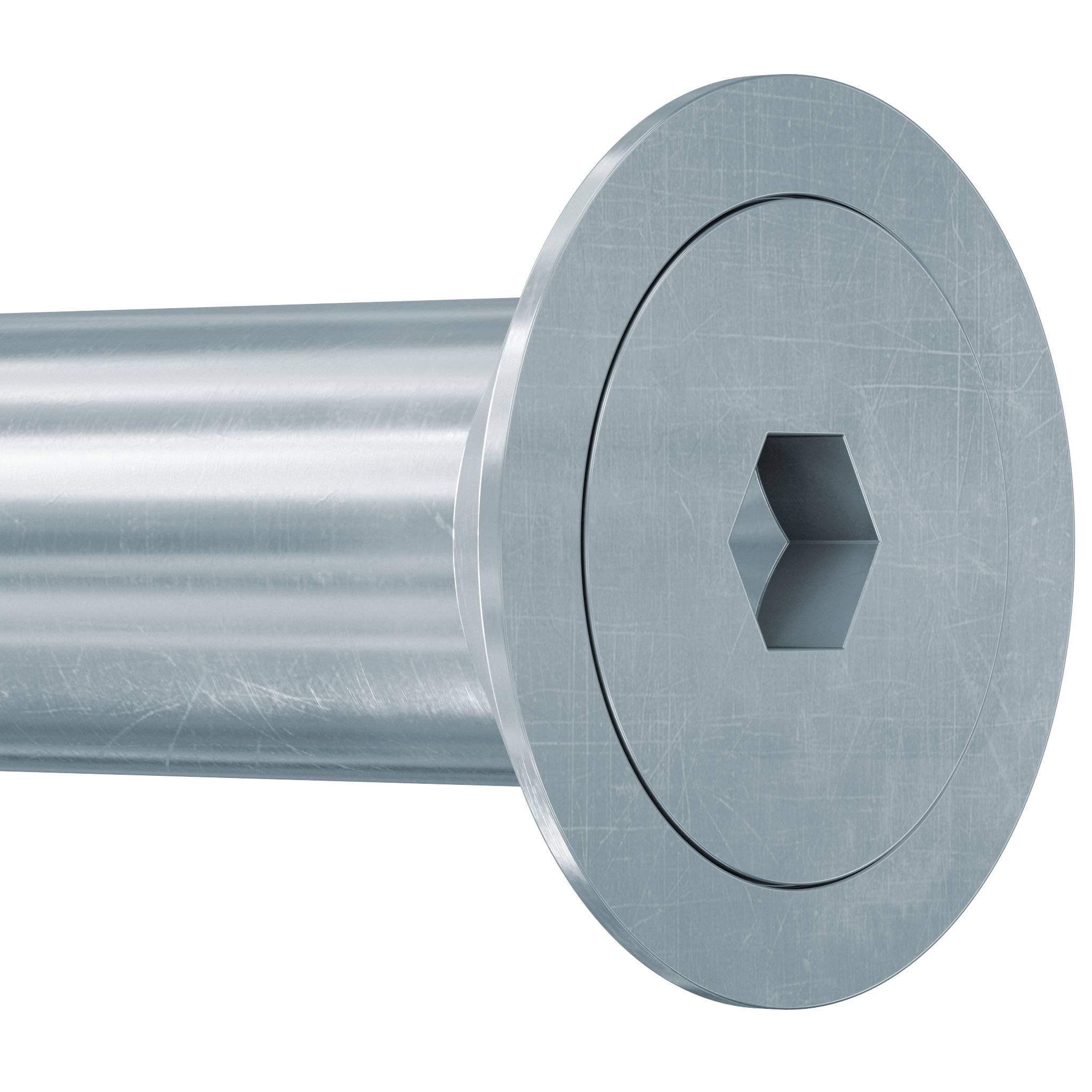 Metal cylindrisk bolt med sekskantligt loft i hovedet, vist i nærbillede på hvid baggrund.