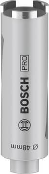 Bosch Accessories 2608587318 2608587318 Tørborekrone  48 mm diamantbestykket 1 stk