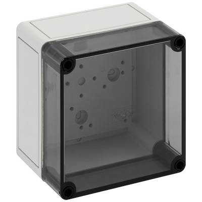 Transparent plastik kabelsamledåse med sort ramme og afrundet design, perfekt til elektriske installationer.