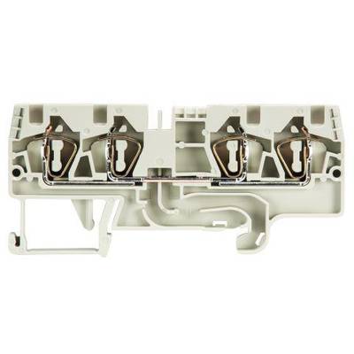 Duo-through terminal fasis N/A WKFN 4 D2/2/35 Grau Grå Wieland Electric 1 stk